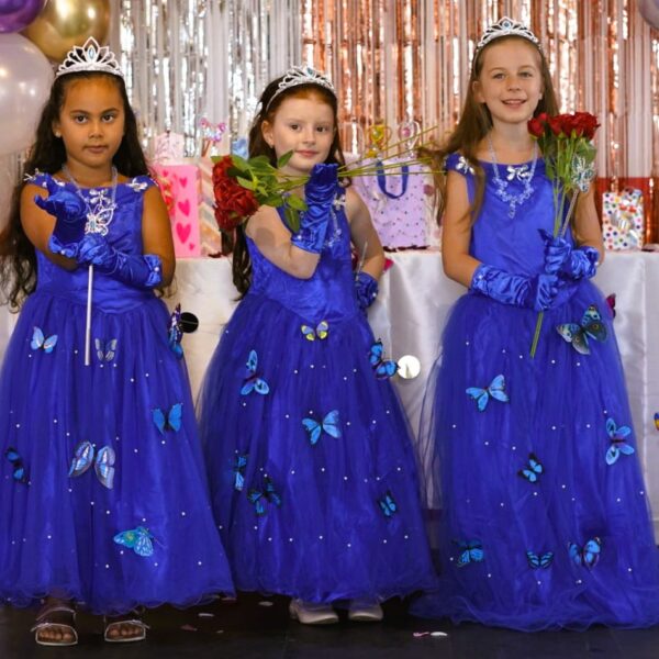 Déguisement groupe petite fille enfant robe princesse bleu marine papillon, anniversaire déguisé, bonheur, accessoires princesse, robe bonne qualité pas cher, couronne, baguette, gant, bijoux, costume, taille 2, 3, 4, 5, 6, 7, 8, 9, 10ans, fête costumée, thème robe papillon, cadeau, enfant déguisé, carnaval, fête école, monde féerique, Noel, rêves, imagination,