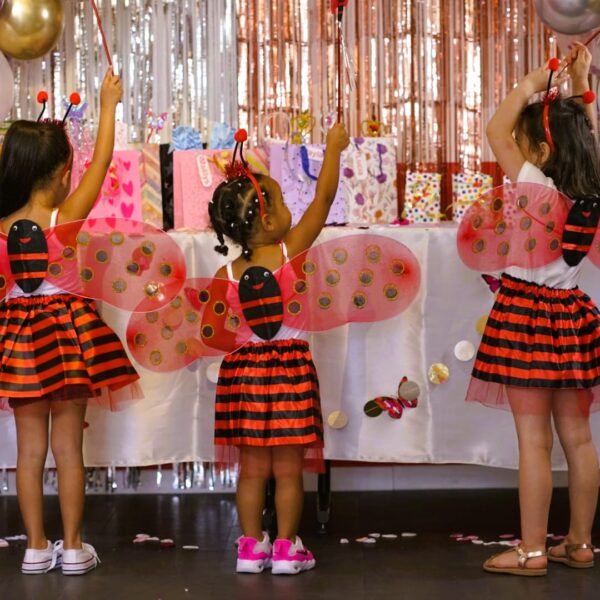 Déguisement coccinelle, ensemble jupette petite fille enfant aile, jupette rouge et noir, petit prix pas cher, accessoires féerique, serre tête, baguette coccinelle, sourire enfant, anniversaire déguisé, bonheur, accessoires, costume, taille 2-6ans, fête costumée, thème ensemble jupette taille 2-6ans, cadeau, enfant déguisé, carnaval, fête école, monde féerique, Noel, rêves, imagination, aventure magique