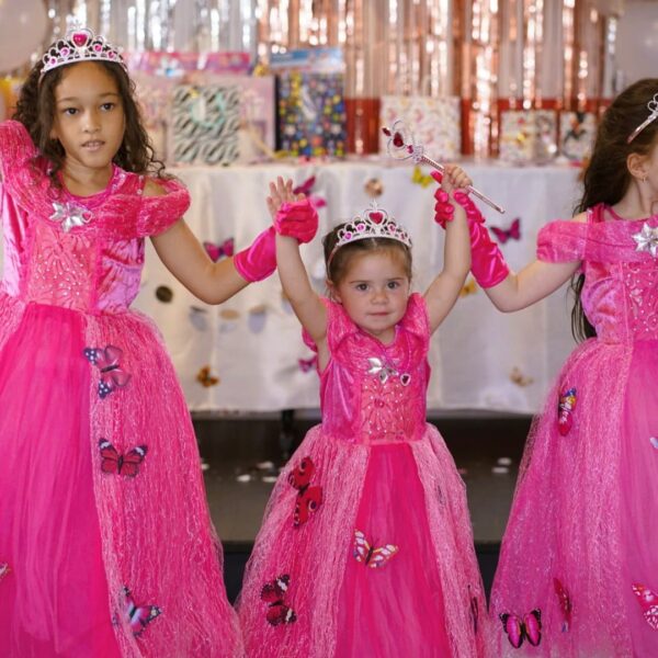 Déguisement petite fille robe princesse rose papillon, anniversaire déguisé, accessoires princesse, couronne, baguette, bijoux, costume bonne qualité pas cher, taille 2-10ans, fête costumée, thème robe papillon, cadeau, enfant déguisé, carnaval, fête école, monde féerique, Noel