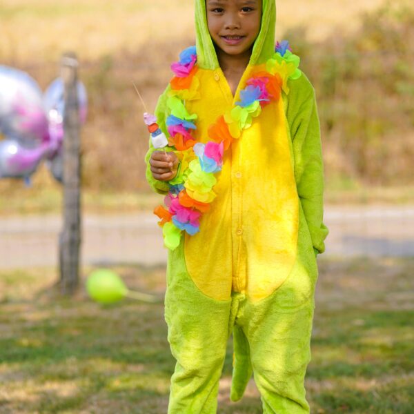Déguisement combinaison animaux dinosaure vert et jaune, petit garçon, enfant, pyjama hiver dinosaure, anniversaire déguisé, bonheur, costume, taille 2-8ans, fête costumée, thème garçon, cadeau, enfant déguisé, carnaval, fête école, monde féerique, Noel, rêves, imagination, aventure magique