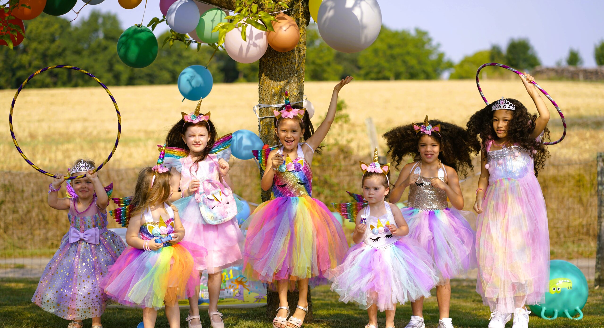 Les Robes Licorne