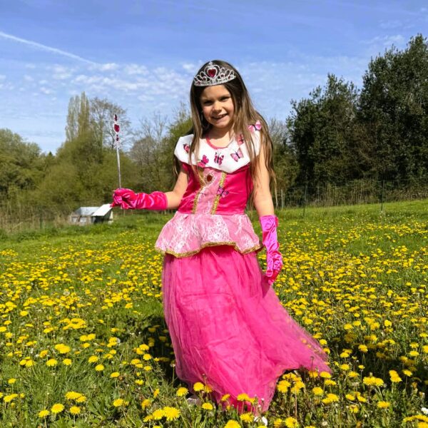 Déguisement petite fille enfant magnifique robe princesse rose petit papillon, sourire enfant, anniversaire déguisé, bonheur, accessoires princesse, couronne, baguette, gant, bijoux, costume, taille 2-12ans, fête costumée, thème robe papillon, cadeau, enfant déguisé, carnaval, fête école, monde féerique, Noel, rêves, imagination,