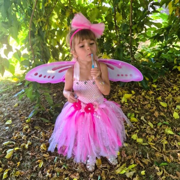Déguisement petite fille magnifique robe princesse rose aile de papillon, jupe tutu fée, anniversaire déguisé, accessoires princesse, baguette, serre tête costume bonne qualité pas cher petit prix, taille 2,3,4,5,6,7,8,9,10ans, fête costumée, thème robe papillon, idée cadeau, enfant déguisé, carnaval, fête école, monde féerique, Noel, rêves,